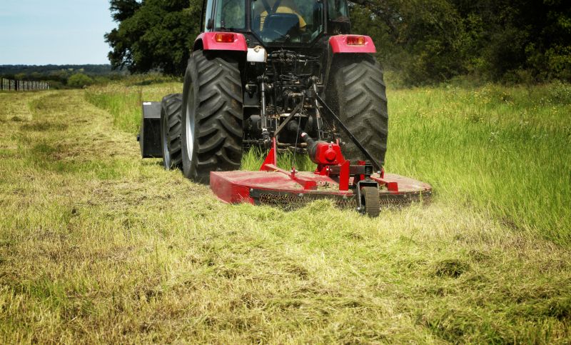 Bush Hog Mowing Service