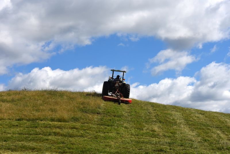 Bush Hog Mowing Service