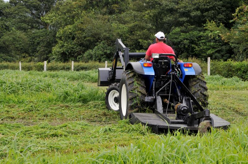 Bush Hogging Service in Calvert County, MD