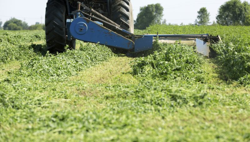 Tractor Mowing in Calvert County, MD