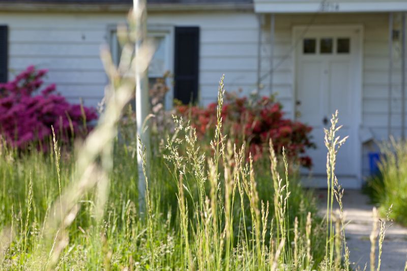 Vacant Lot Mowing in Duluth, MN