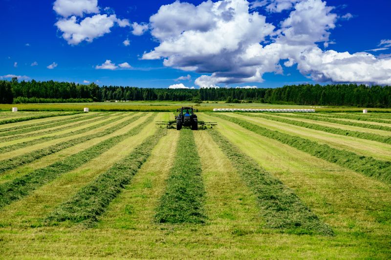 Tractor Mowing in Duluth, MN