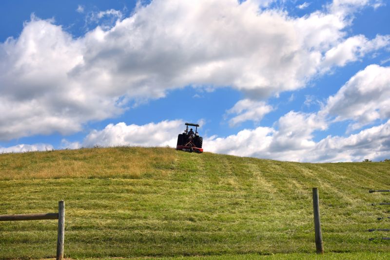 Clears Overgrown Land